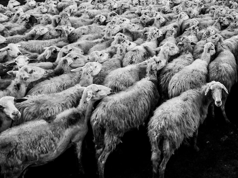 Die besten Schlafzimmer-Design-Trends 2024